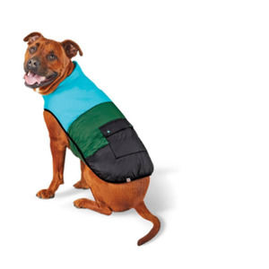 Dog Color Block Puffer - Black/Green/Teal - M - LEGO Collection X Target